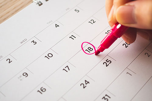 Cleaning Schedule
