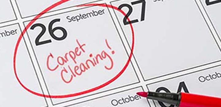Pro Carpet Cleaning on the Calendar